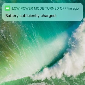 Meet your Posher, Bobby